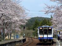 sakuraeki110415-2nj.jpg