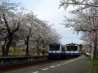 sakuraeki110415-7nj.jpg