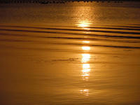 asahi110515-1nj.jpg