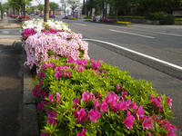 hana110518-002-nj.jpg