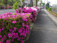 hana110518-003-nj.jpg