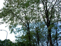 blog110530-4nj.jpg