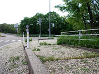 blog110530-5nj.jpg
