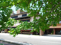sinryoku110603-2nj.jpg