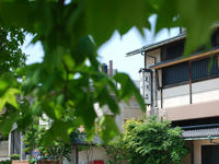 sinryoku110603-4nj.jpg