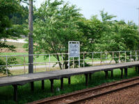 nisigisieki110613-2nj.jpg