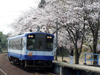 sakuraeki110415-8nj.jpg