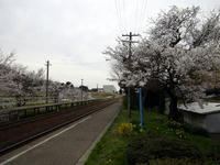 nisigisieki110613-5nj.jpg