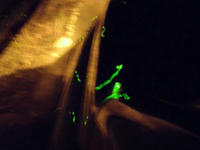 gazou110621-6nj.jpg