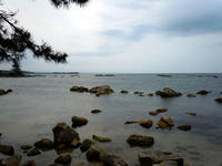 umi110812-2nj.jpg