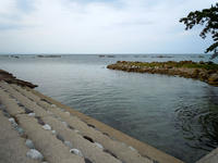 umi110812-4nj.jpg