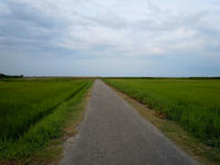 umi110812-7nj.jpg