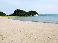 umi110812-8nj.jpg