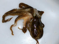 110828-2nj.jpg