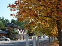 kouyou111004-1nj.jpg