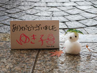 yukidaruma111230nj.jpg