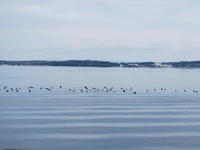 satuei120208-2nj.jpg