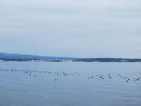 satuei120208-3nj.jpg