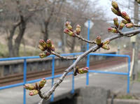 DSCN2955-1.jpg