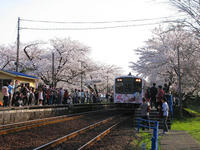sakuraeki120427-1nj.jpg