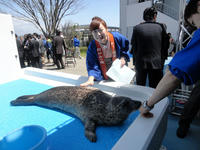 DSC01338nj.jpg