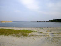 njIMGP0752.jpg