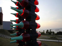 njIMGP0768.jpg