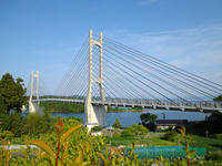 twinbridge-nj.jpg
