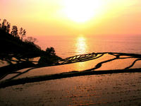 senmaida-nj.jpg