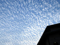 kumo120724-2nj.jpg