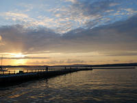 kurujing120921-1nj.jpg
