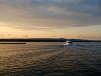 kurujing120921-2nj.jpg