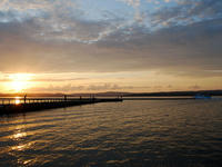 kurujing120921-3nj.jpg