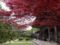 soujiji-2nj.jpg