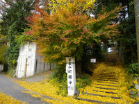 kouyou-1nj.jpg