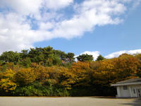 kouyou-4nj.jpg