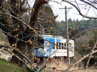 sakuraeki130402-1nj.jpg