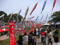 koinobori130424.jpg