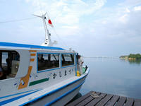 satuei13-11nj.jpg