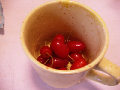 茱萸