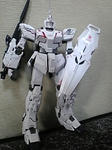 g_clab_20080525_006.jpg