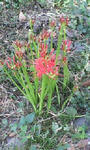 20100922123529.jpg
