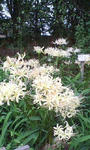 20100929090229.jpg