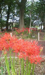 20100929090256.jpg