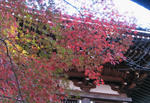 2010.11.23.1.jpg