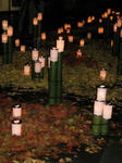 2010.11.23.7.jpg