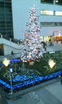 20101211163339.jpg