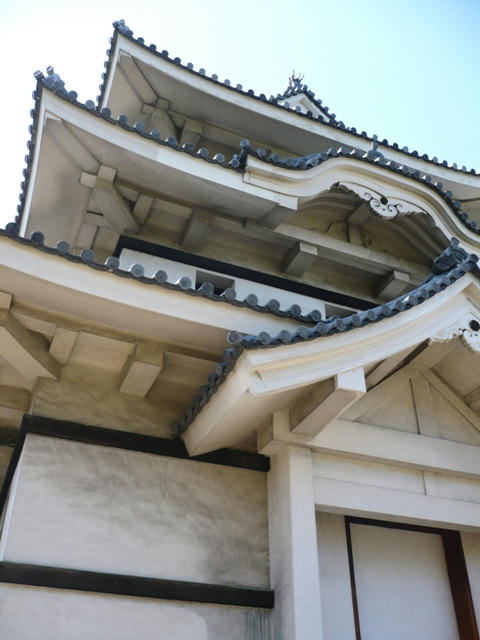P1000737.JPG