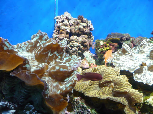P1000097.JPG