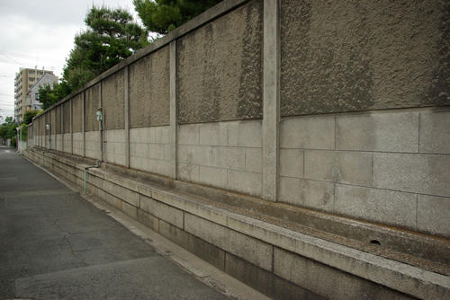 IMGP0154.JPG